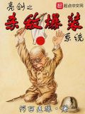 亮剑之杀敌爆装系统