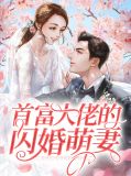 首富大佬的闪婚萌妻漫画